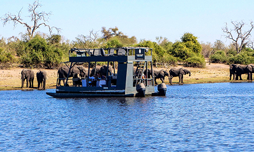 game drive chobe 3